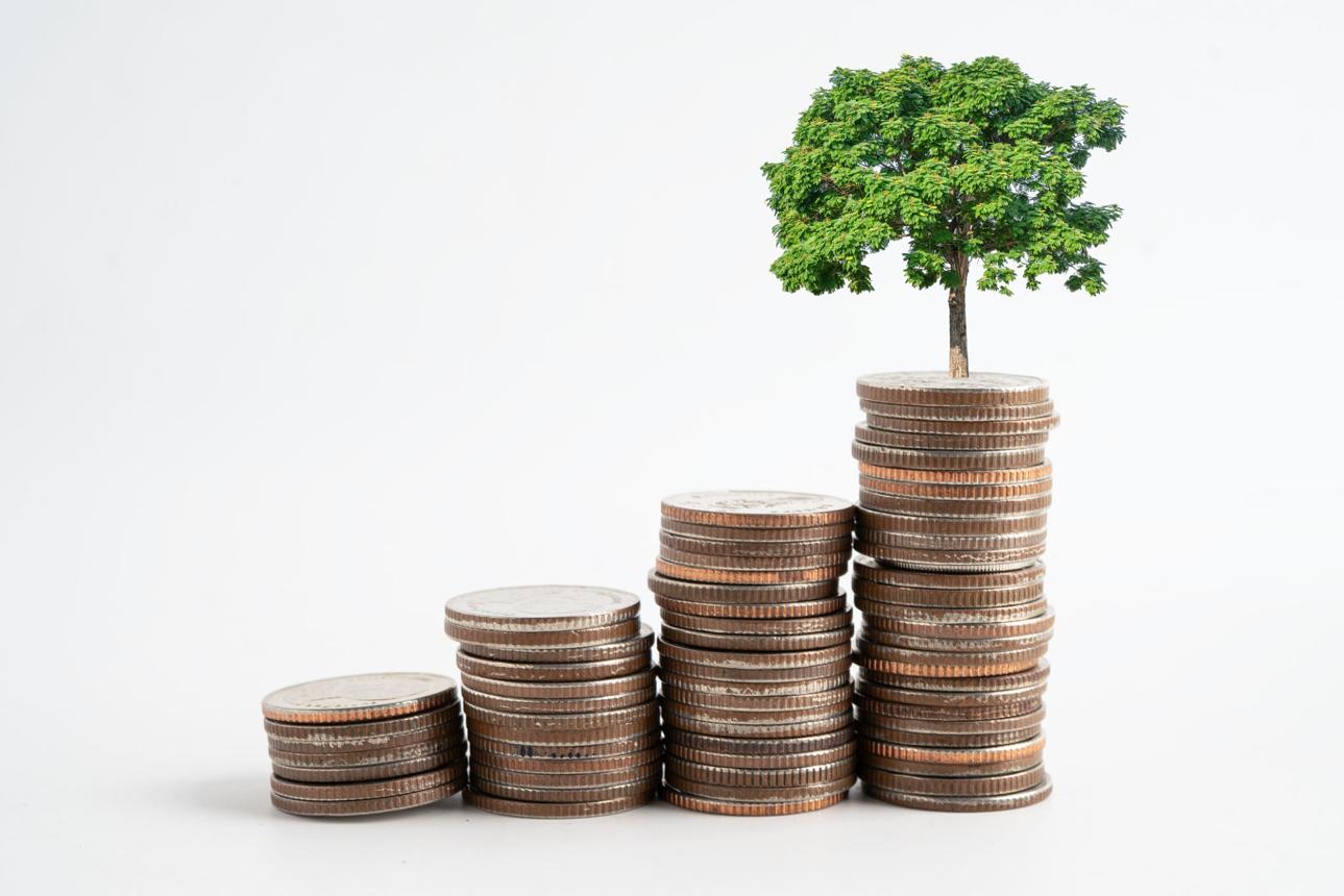 Building Wealth One Financial Decision at a Time